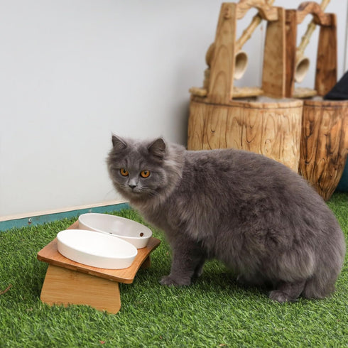 ちゃぶ台ボウル(2P)