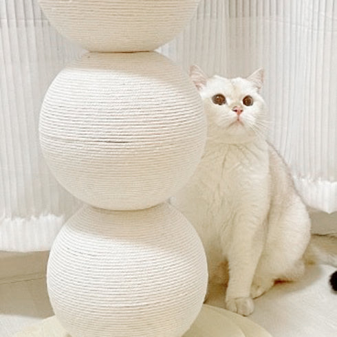 キャットスクラッチャー